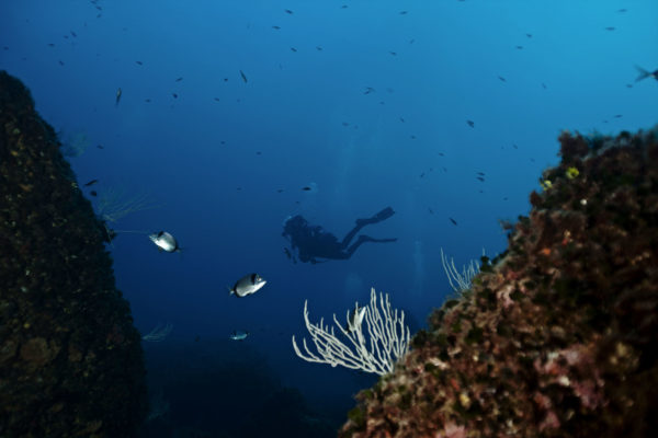 Buceo Faro Menorca