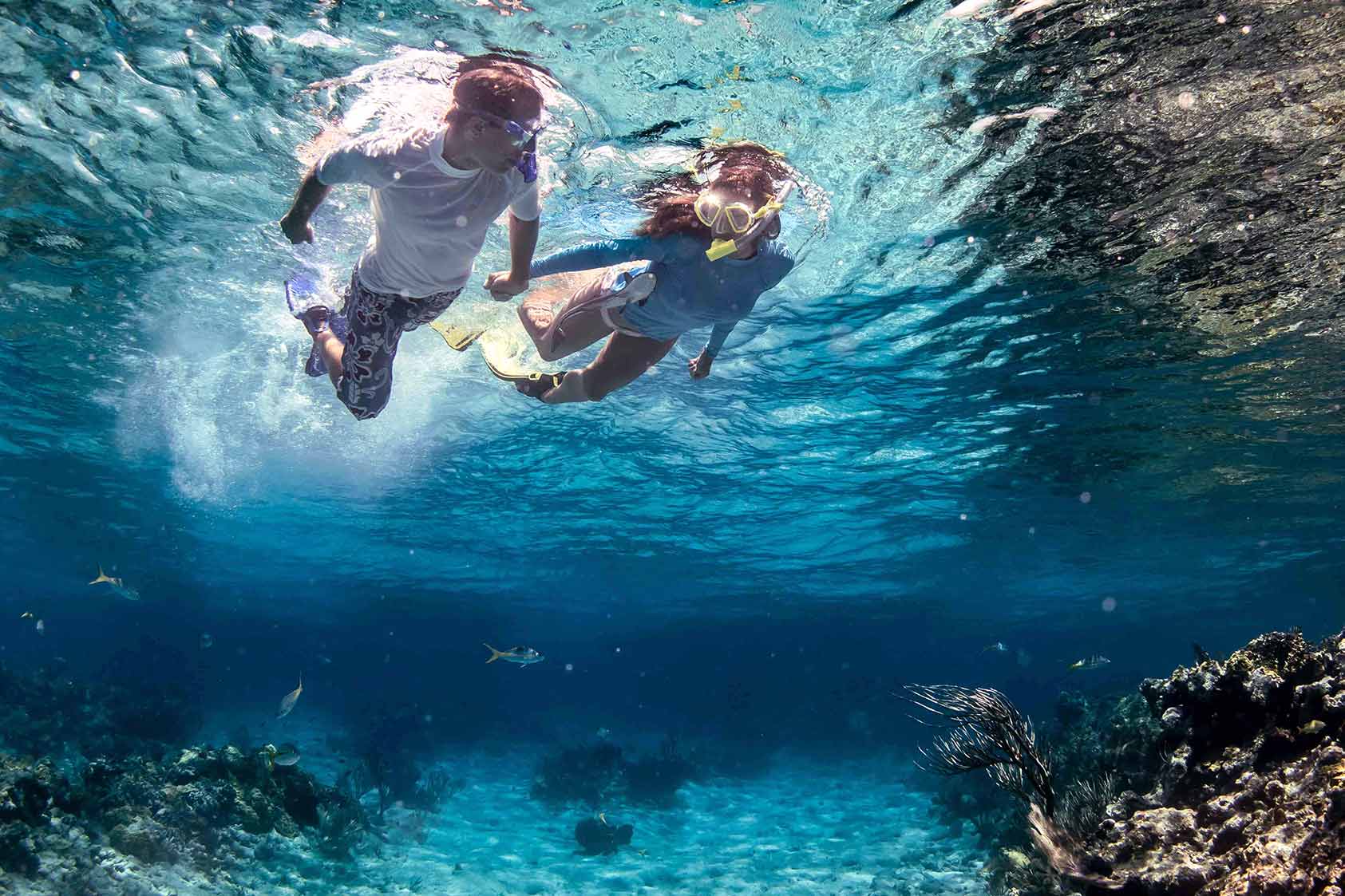 hacer snorkel con científicos marinos en Menorca